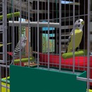 Thumb 54cd68bcf8a1ec24a5000001