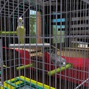 Thumb 54cd6df68da57214d0000001