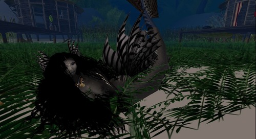 Web 52ed863d8da5725e47000001