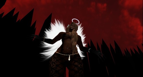 Web 53913ff58da5726325000001