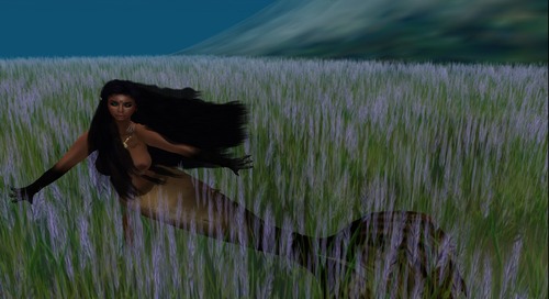 Web 54c02199f8a1ec5d17000001