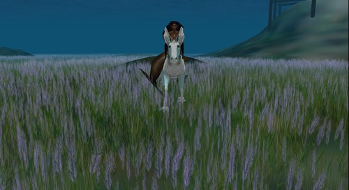 Web 54c021dc128cc91df7000001