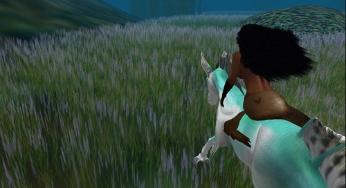 Web 54c02249128cc922eb000001