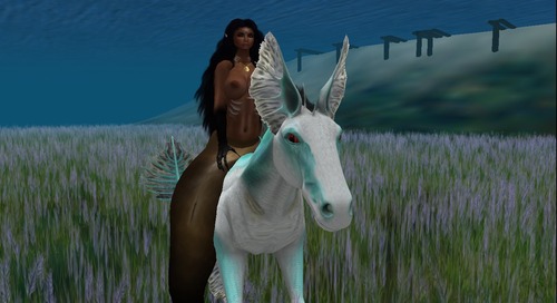 Web 54c024c18da57204f1000001