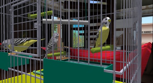 Web 54cd68bcf8a1ec24a5000001