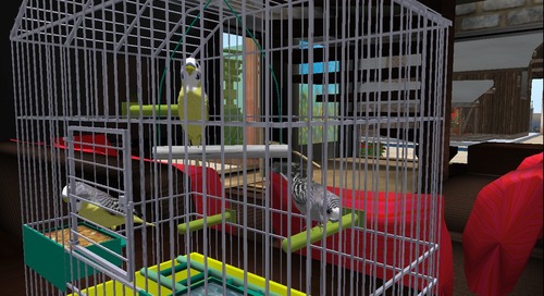 Web 54cd6df68da57214d0000001