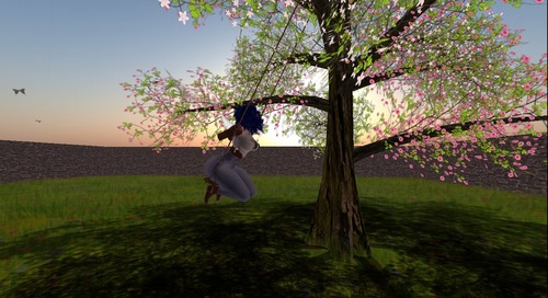 Web 5514c460f8a1ec45b9000001