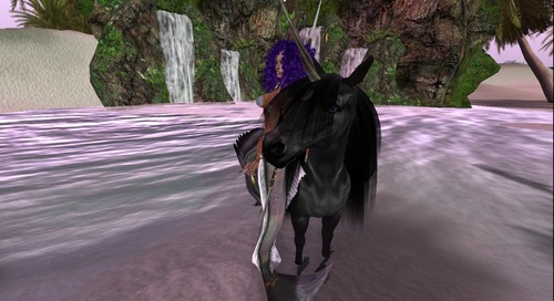 Web 552c91368da5724a2c000001