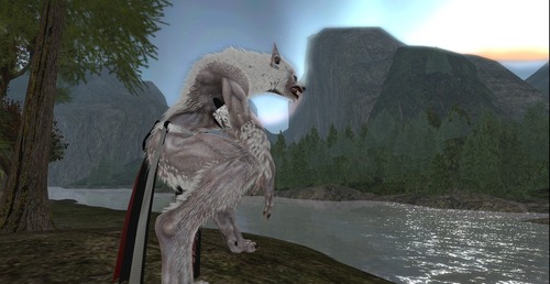 Web 564529b33f942f3689000001