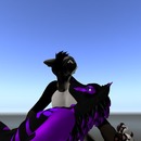 Thumb 5115a737d9c3b21c90000001