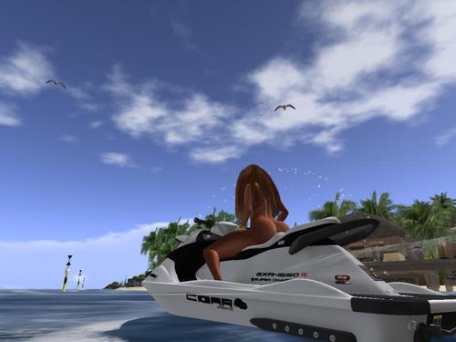 Web 6316dceb63c0bd172425a40f