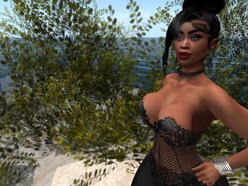 Web 63274ca4e6a5a045fb8d4dc4