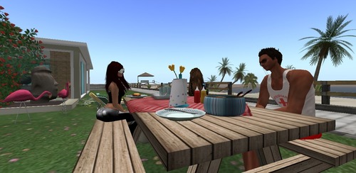 Web 503914e5764e9849bf000001