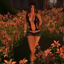 Thumb 5081816c6a377d2fbd000001