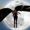 Thumb 50856df5d147e6731d000001