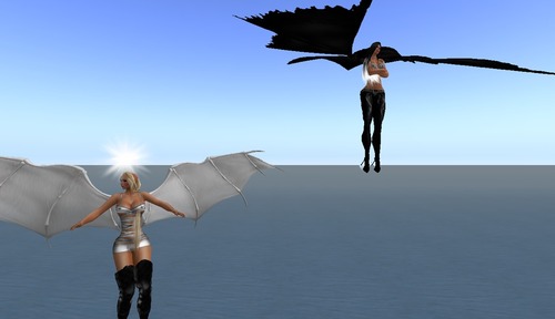 Web 50aca25f0b8d7e2d6f000001