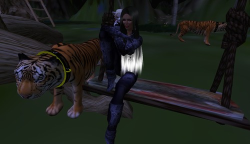 Web 50af91f8524a8a2835000001