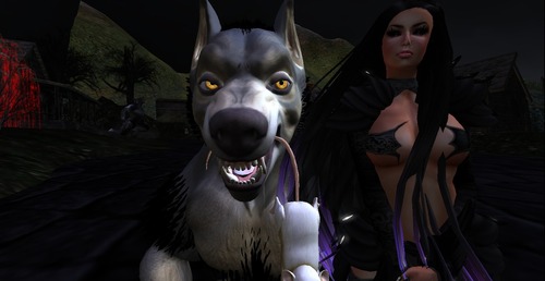 Web 535512b0a73e215a9c000001