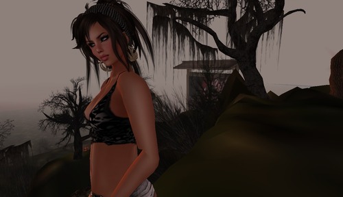 Web 536edb25f8a1ec383c000001