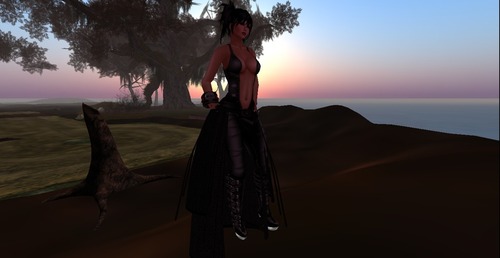 Web 53b2a2b88da5720b7a000001