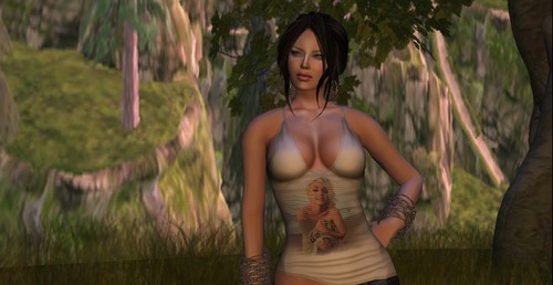 Web 541187818da57249c8000001