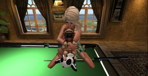 Web 538d54d98da5725324000001