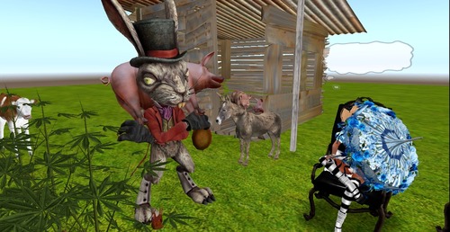 Web 54c53fbf128cc94027000001