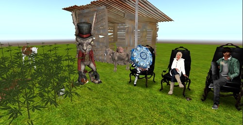 Web 54c541e68da572410e000001