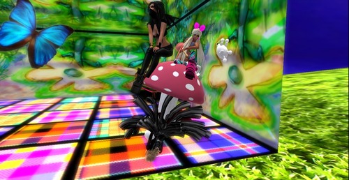 Web 55075668f8a1ec36a2000001