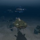 Thumb 55b975c0a73e2119ec000001