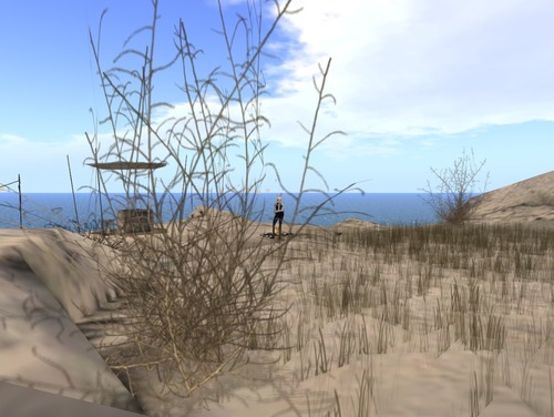 Web 535645d1a73e2165ae000001