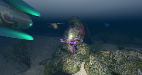 Web 55b978dc128cc9787c000001