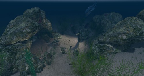 Web 55b97a77f8a1ec6b4e000001