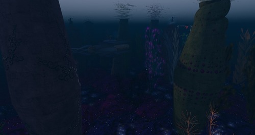 Web 55c45f63a73e21505d000001