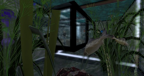 Web 567fa4d1f8a1ec42f6000001