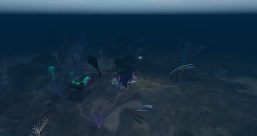 Web 57d23bcab01540182f000001