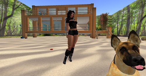 Web 500e17ec1a40cc58db000001