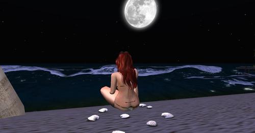 Web 59caf0a1d774f861c7000001