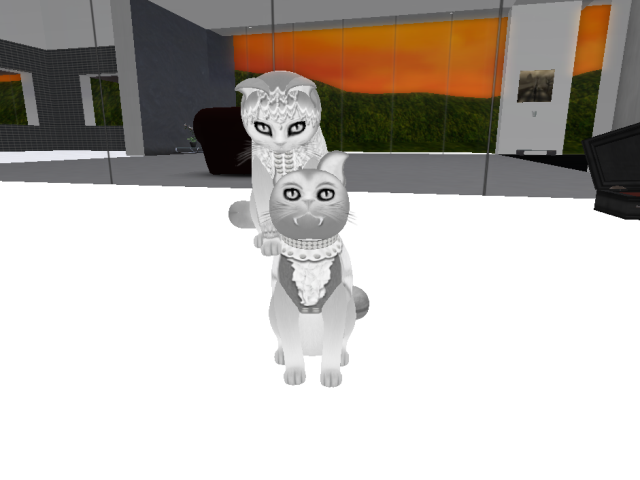 Original 54eb22b6128cc90284000001