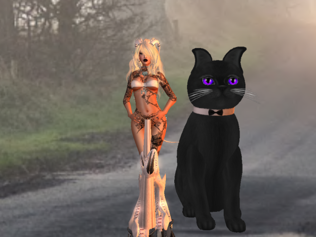 Original 54f04574128cc90e31000001