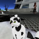 Thumb 53d9f155a73e216eef000001