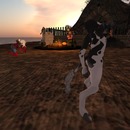 Thumb 5443f8468da5720744000001