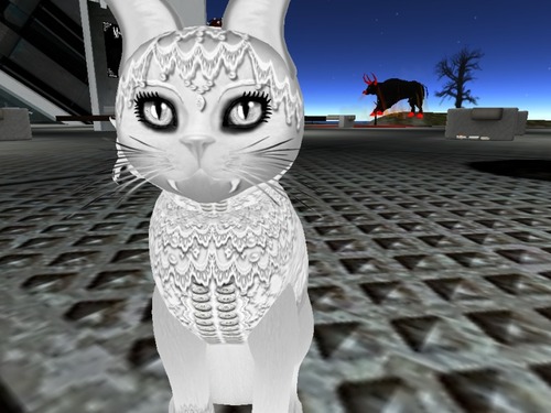 Web 53d9f0c3a73e216d53000001