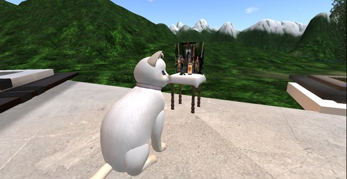 Web 5424b321128cc932e1000001