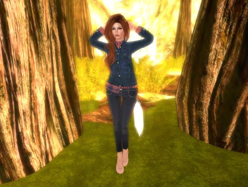 Web 528b1b189dc29d6d8c000001