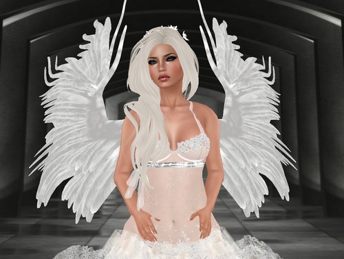 Web 5330f487a73e212c74000001