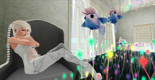 Web 536f5348a73e215130000001