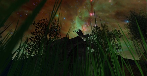 Web 55bd06428da572545c000001