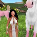 Thumb 5f52592673ed1750640553ca