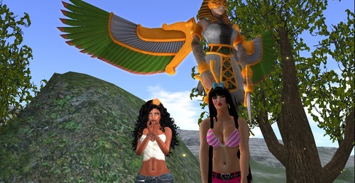 Web 55955a7f8da5724396000001